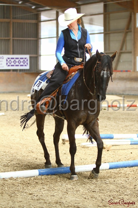 28-ApHC OT_100.jpg